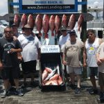 2017 Snapper Fishing Orange Beach